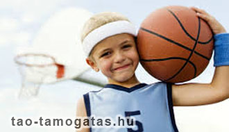 társasági adó fizetés, céges adóbevallás, adóalap csökkentés, könyvelés