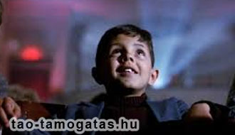 társasági adó támogatás, adóbefizetés, jóváírás, adóalap csökkentés